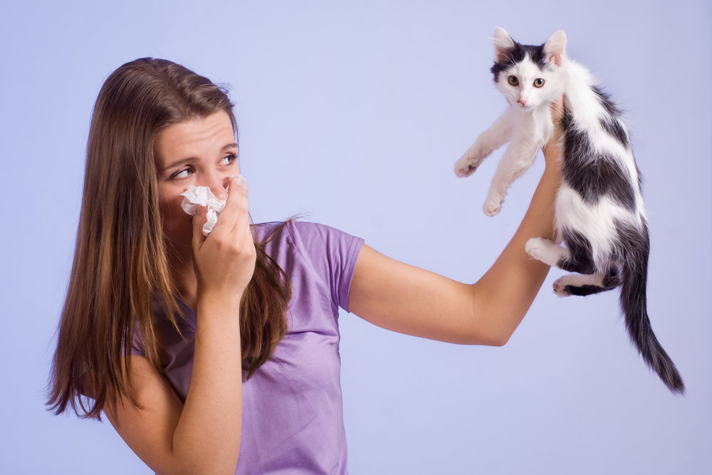 पालतू जानवरों से एलर्जी