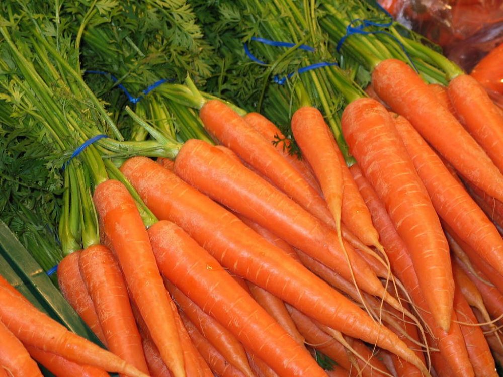 The benefits of carrot