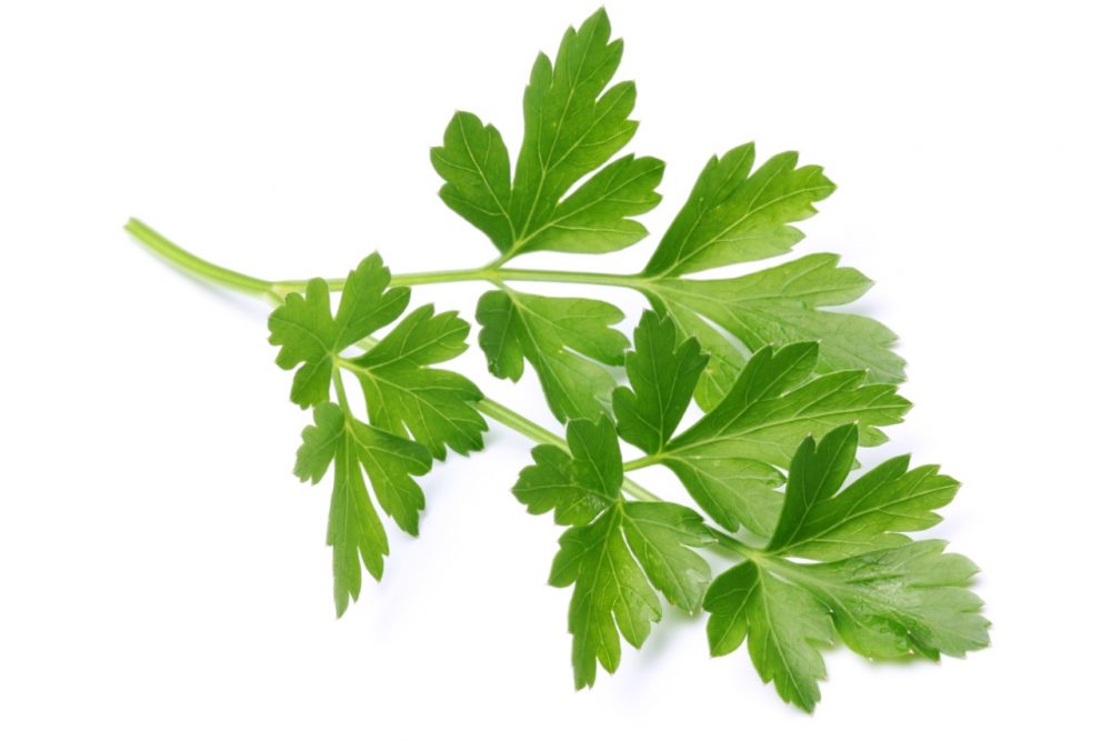 The benefits of parsley