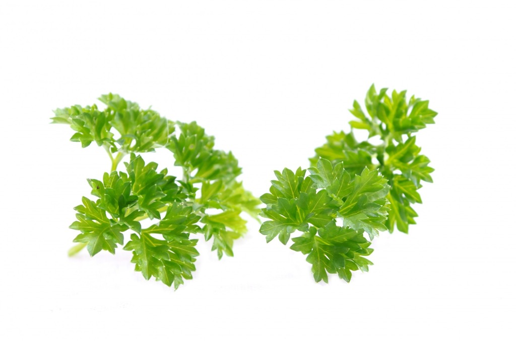 Health benefits of parsley